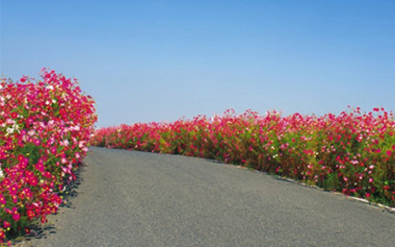 高模量改性沥青